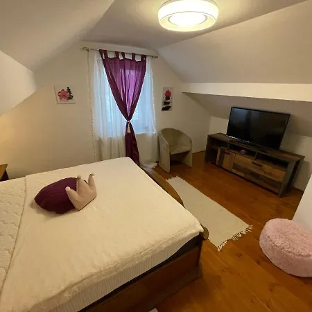 Servita Vendeghaz