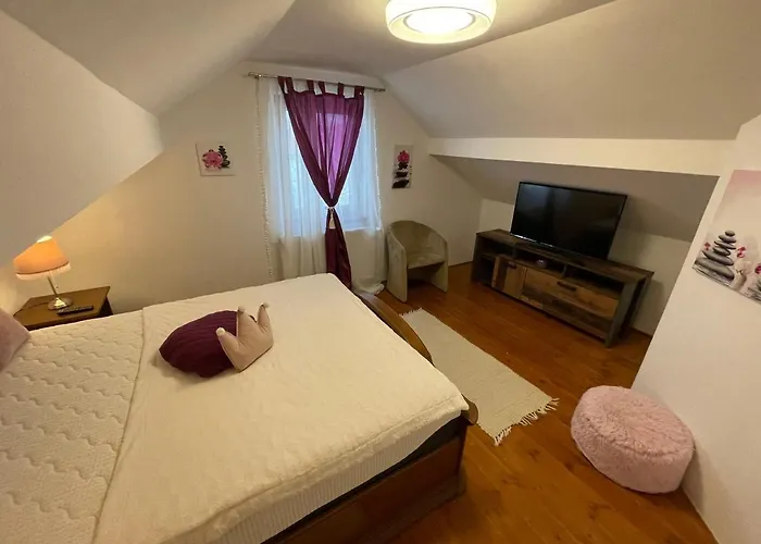Servita Vendeghaz